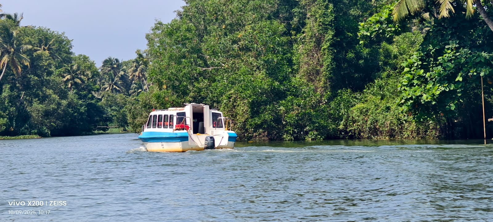 Boat cruising past mangrove trees