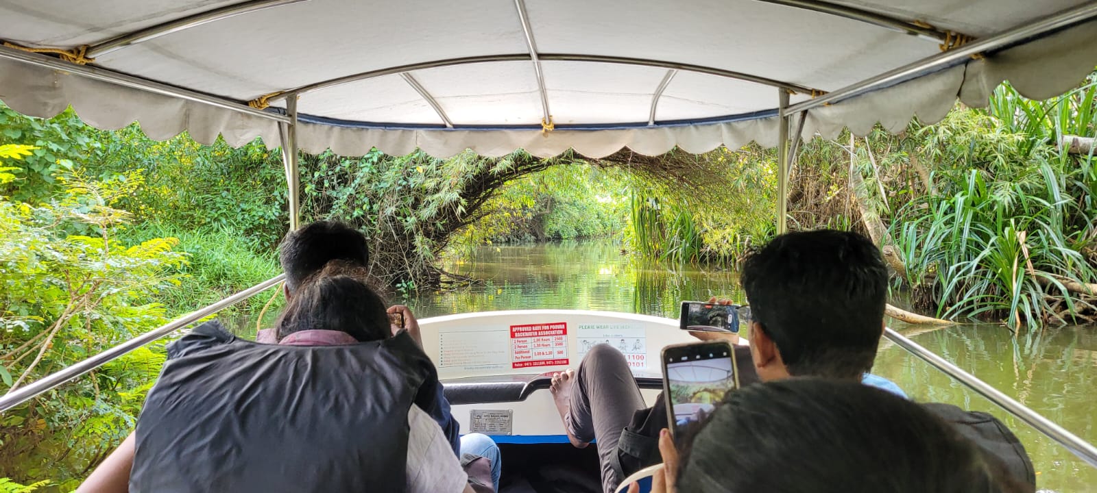 Boat gliding through the mangrove tunnel in Poovar