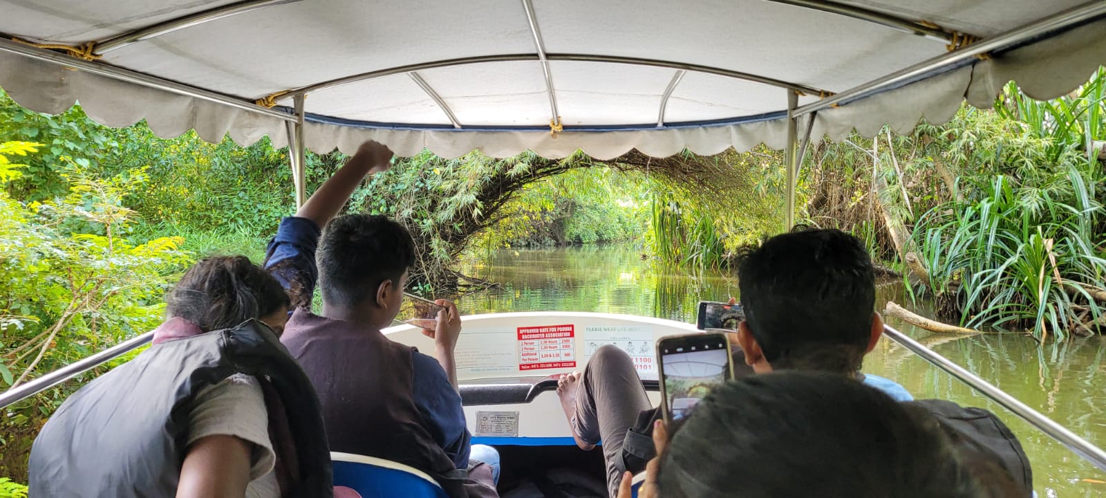 Boat gliding through the mangrove tunnel